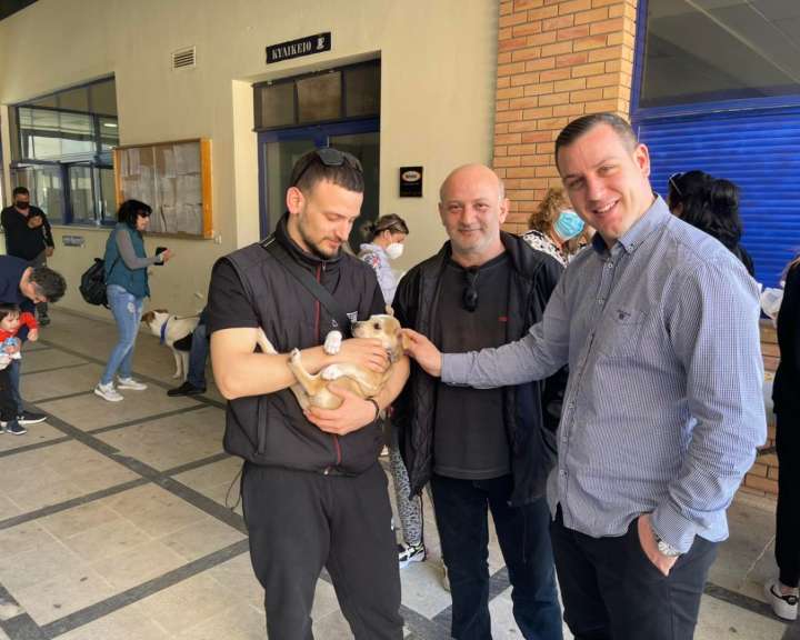Αδέσποτα Αδέσποτα