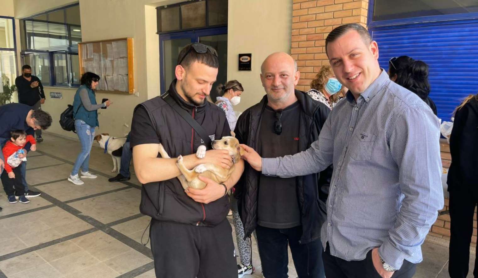 Αδέσποτα Αδέσποτα